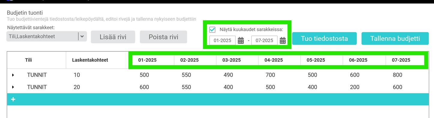Budjetti kuukausitaulukko